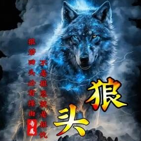 🐺狼头🐺海报
