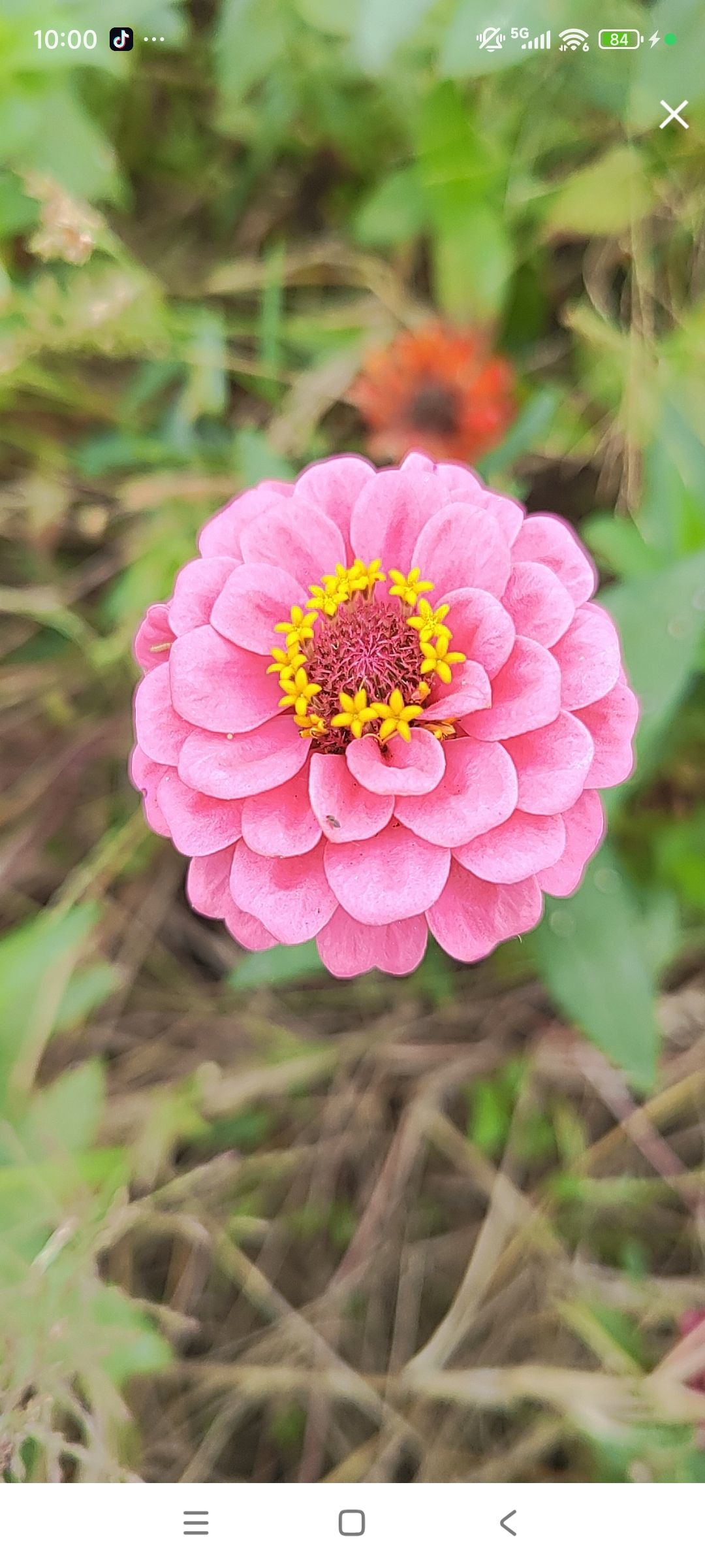 婷婷💕感恩有你陪伴主播图片