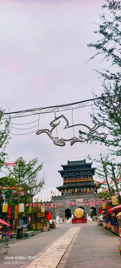 妞妞骑行南宁的图片