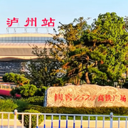 ₁⁵₁⁵飛鹰₁⁵₁⁵的头像