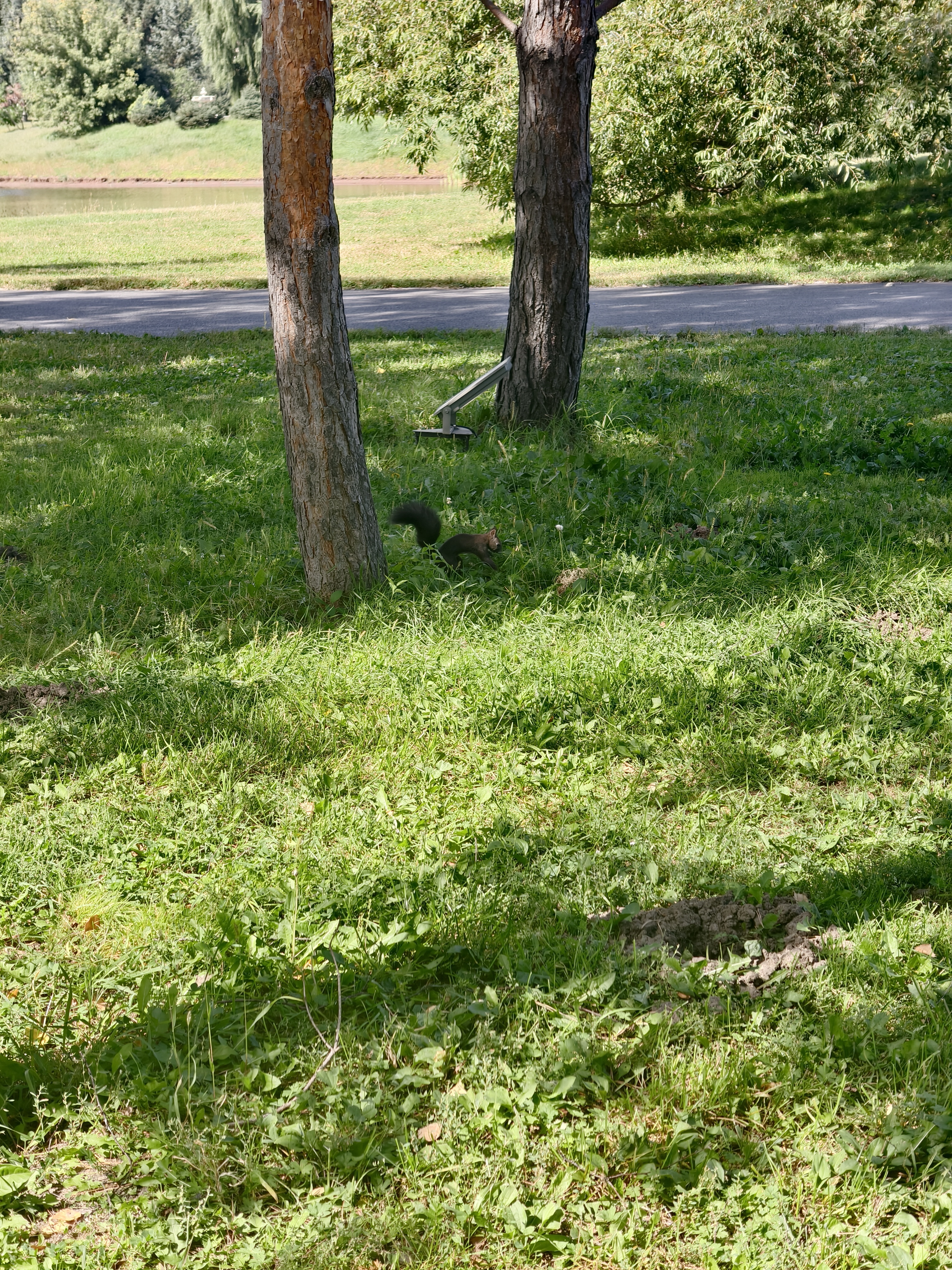 令令呀快饿抽了主播图片