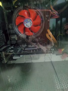 天王盖地虎虎044的图片