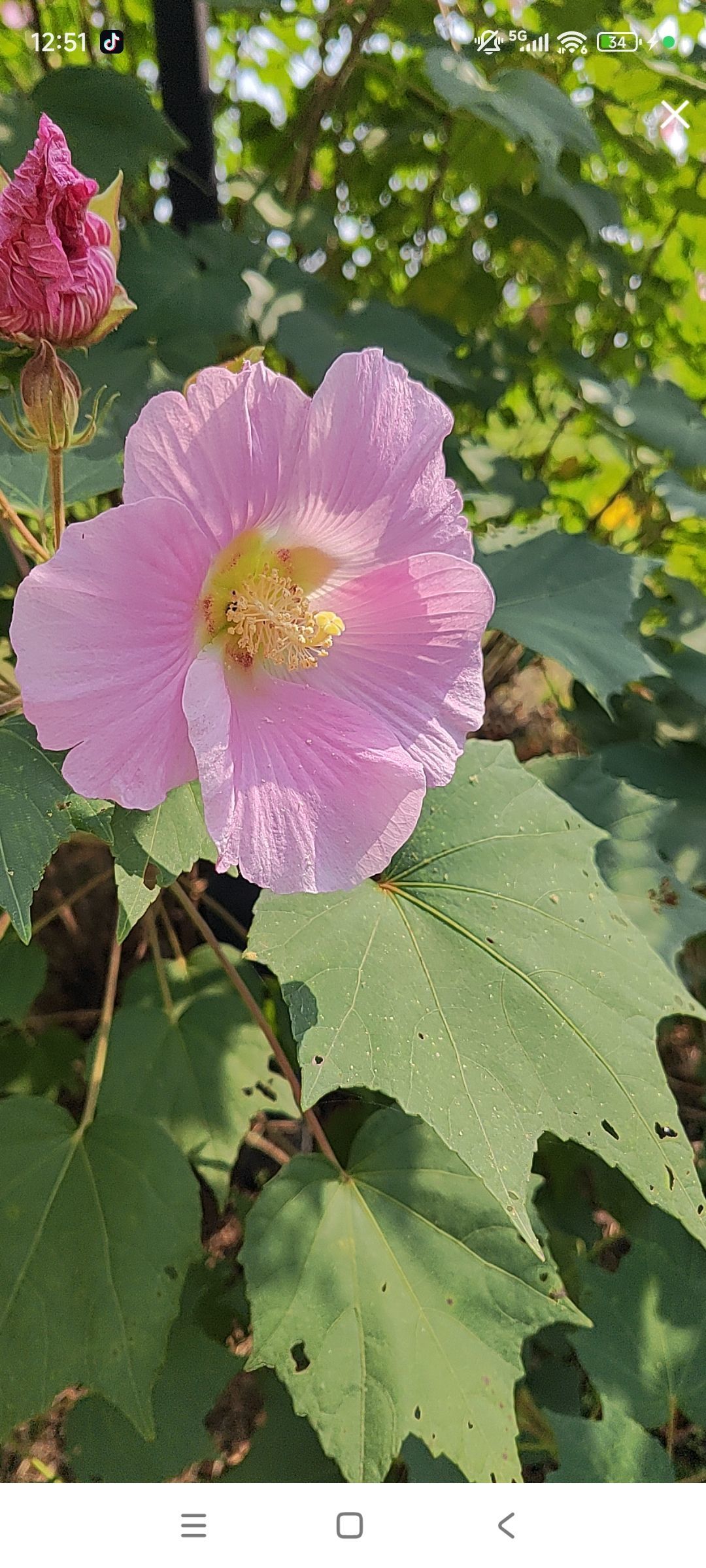 婷婷💕感恩有你陪伴主播图片