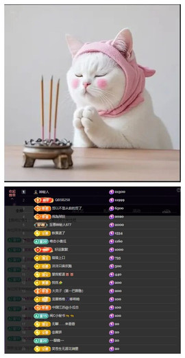 玖❤儿加油的图片