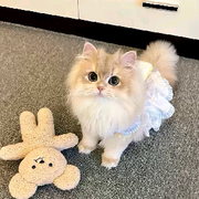 涵涵今晚播✨
