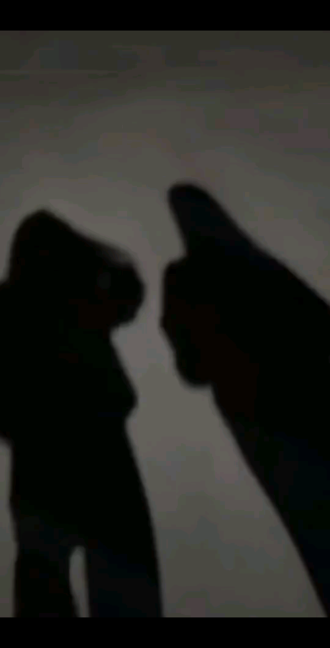 爱情鸟咋还没来到呢？