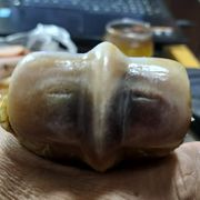随心♥♥所欲