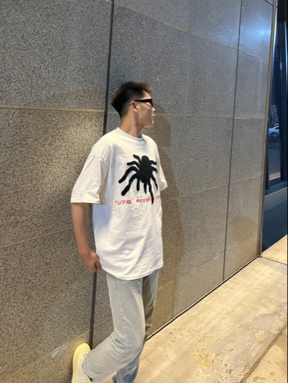 新人小辉海报