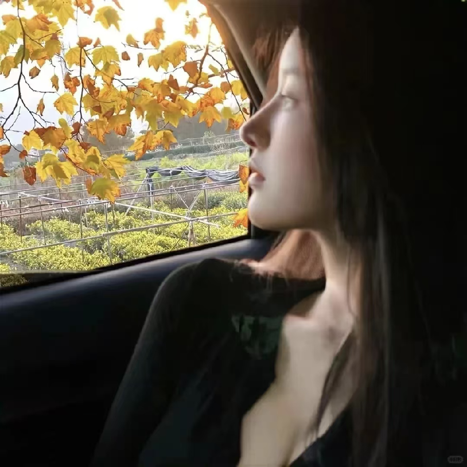 萱萱💓蜡笔小xue海报