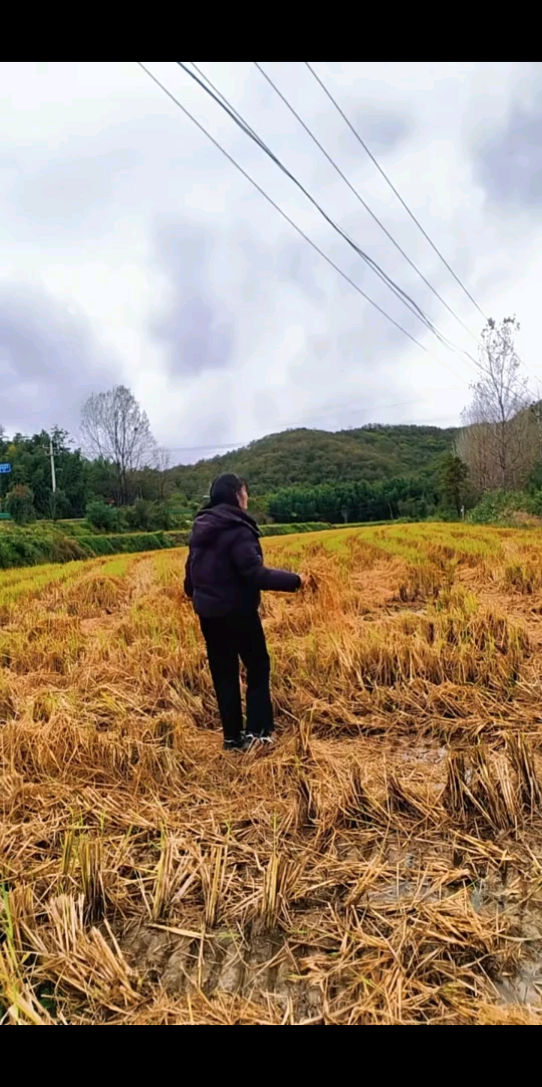 ＆和2025年的秋天