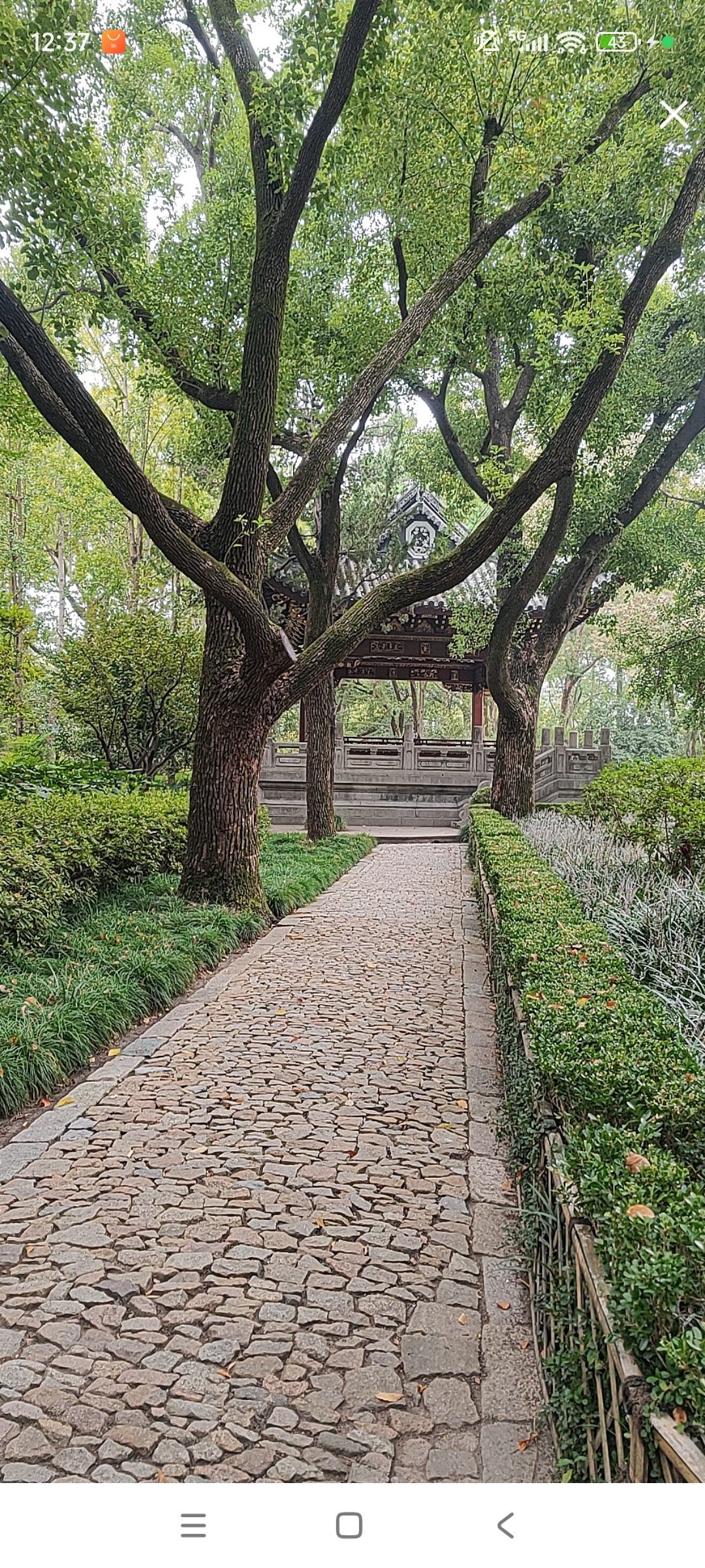 婷婷💕感恩有你陪伴主播图片