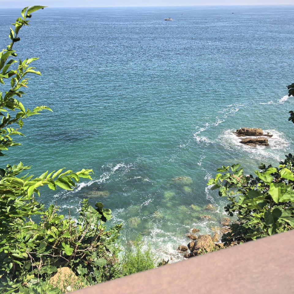 豆芽拌黄瓜海报