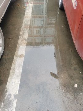 天王盖地虎虎044的图片