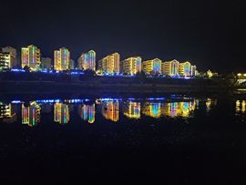 洛兜兜野蛮生长的图片