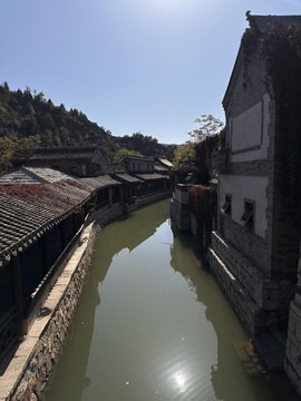 葡萄Vvv的图片