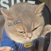违规昵称77543的头像