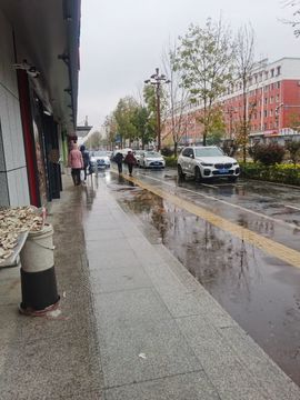 天王盖地虎虎044的图片