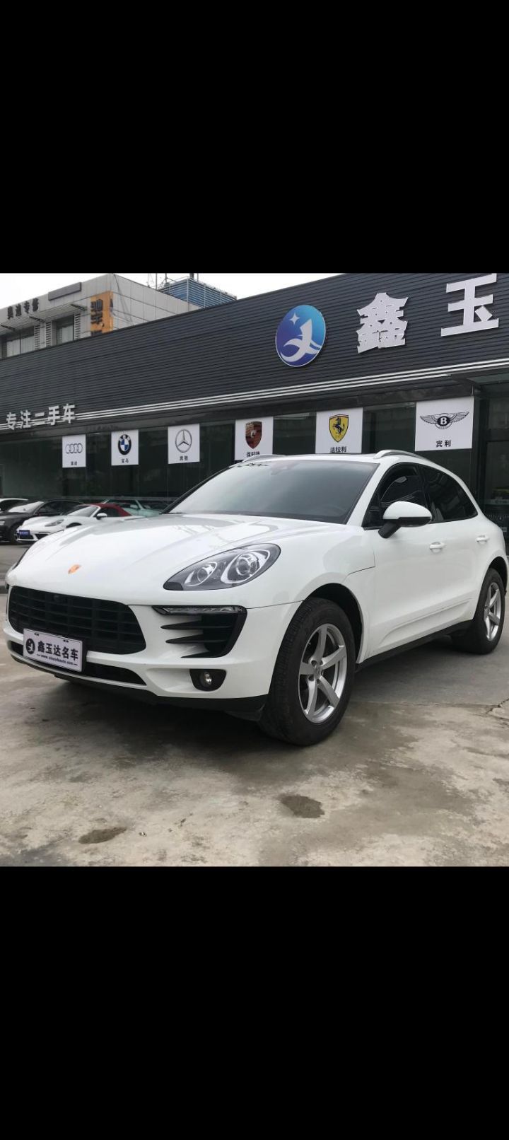 傲世_天下主播图片