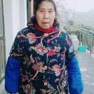 周树英n