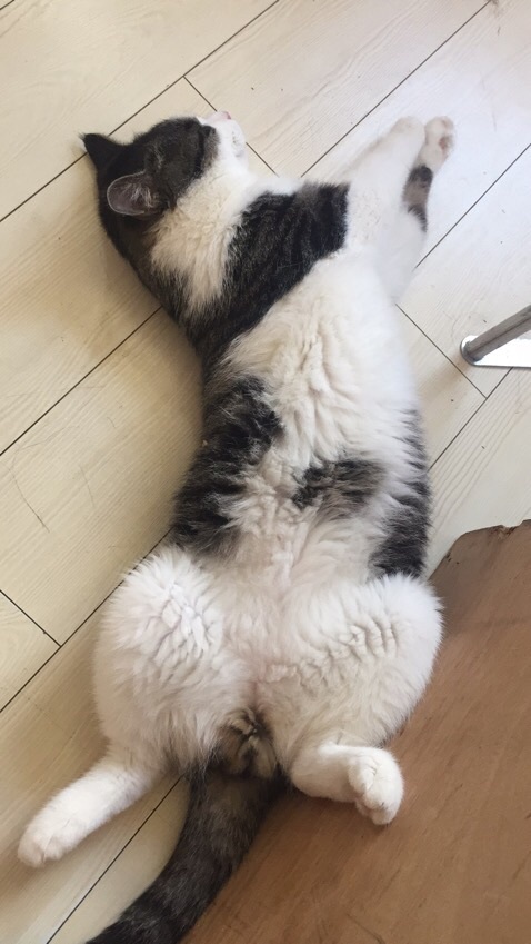 岳思瑶🌞瑶瑶老师好主播图片