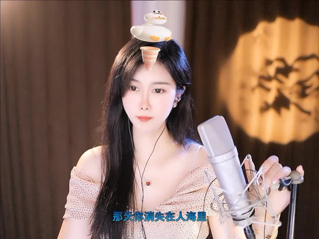 不曾爱过你
