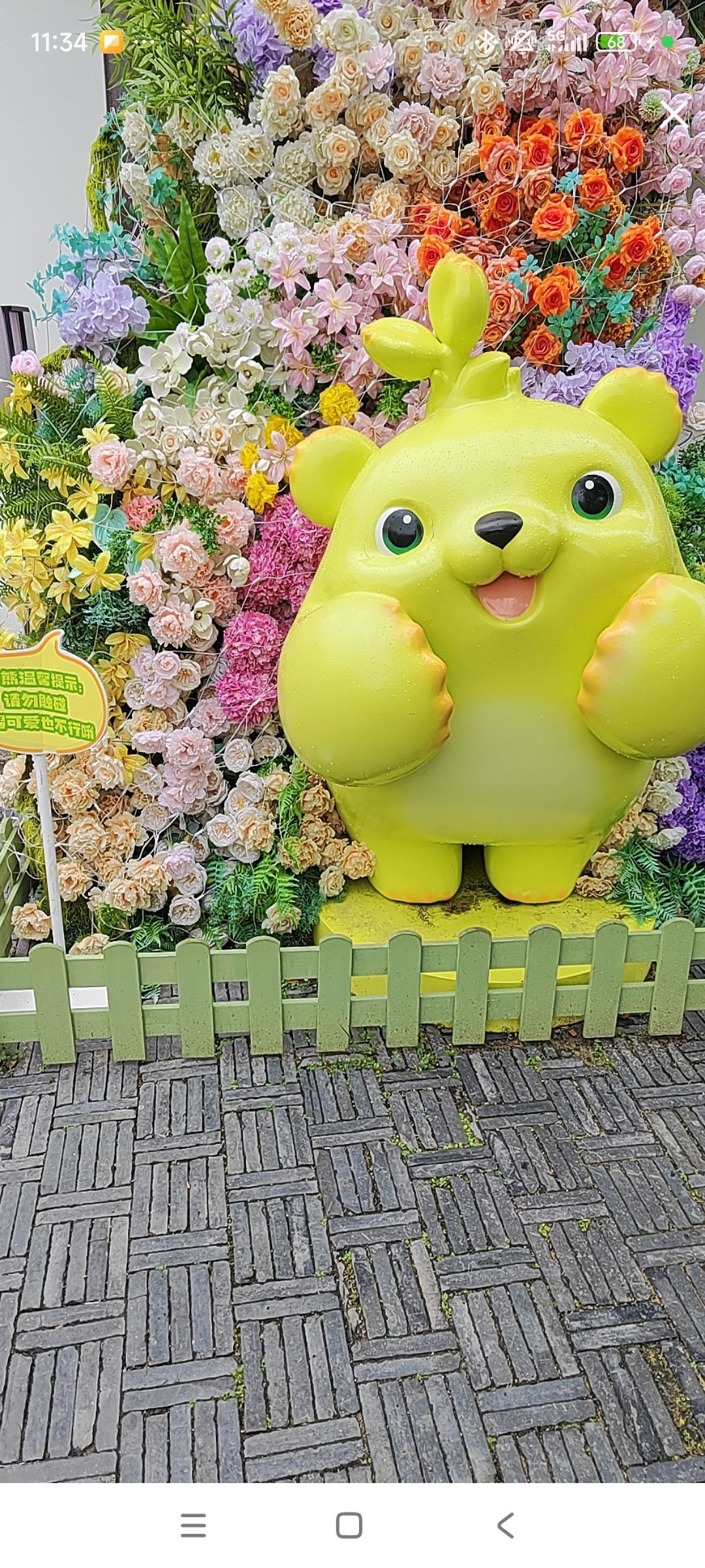 婷婷💕感恩有你陪伴主播图片