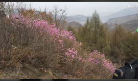 ╰つ子雲╰ゞ主播照片