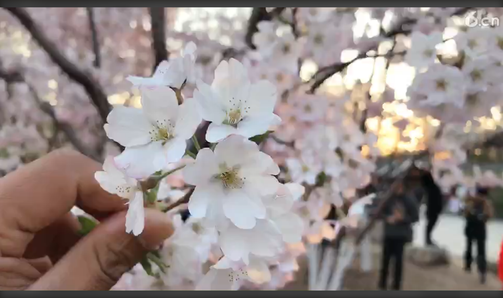 ╰つ子雲╰ゞ的图片