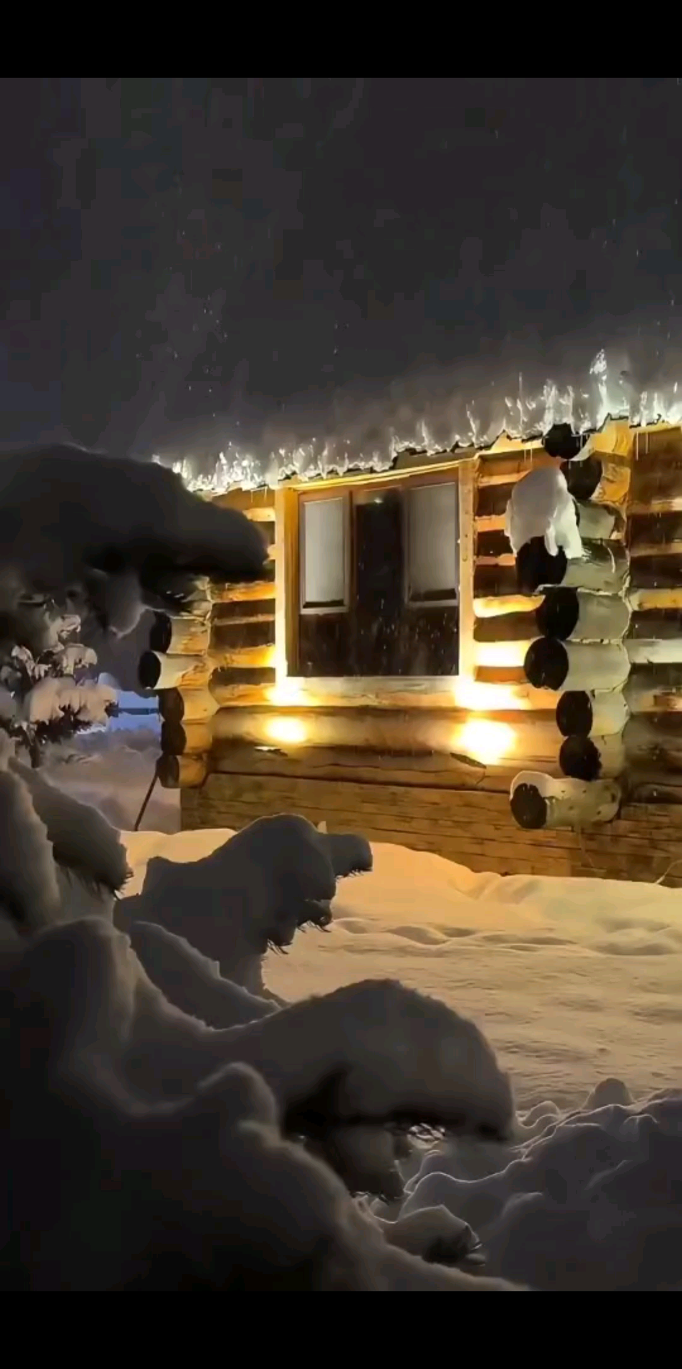 /喵喵/喵喵没有烦恼