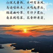 猫儿，乙丑辛已己未