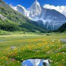 依马木ty的头像