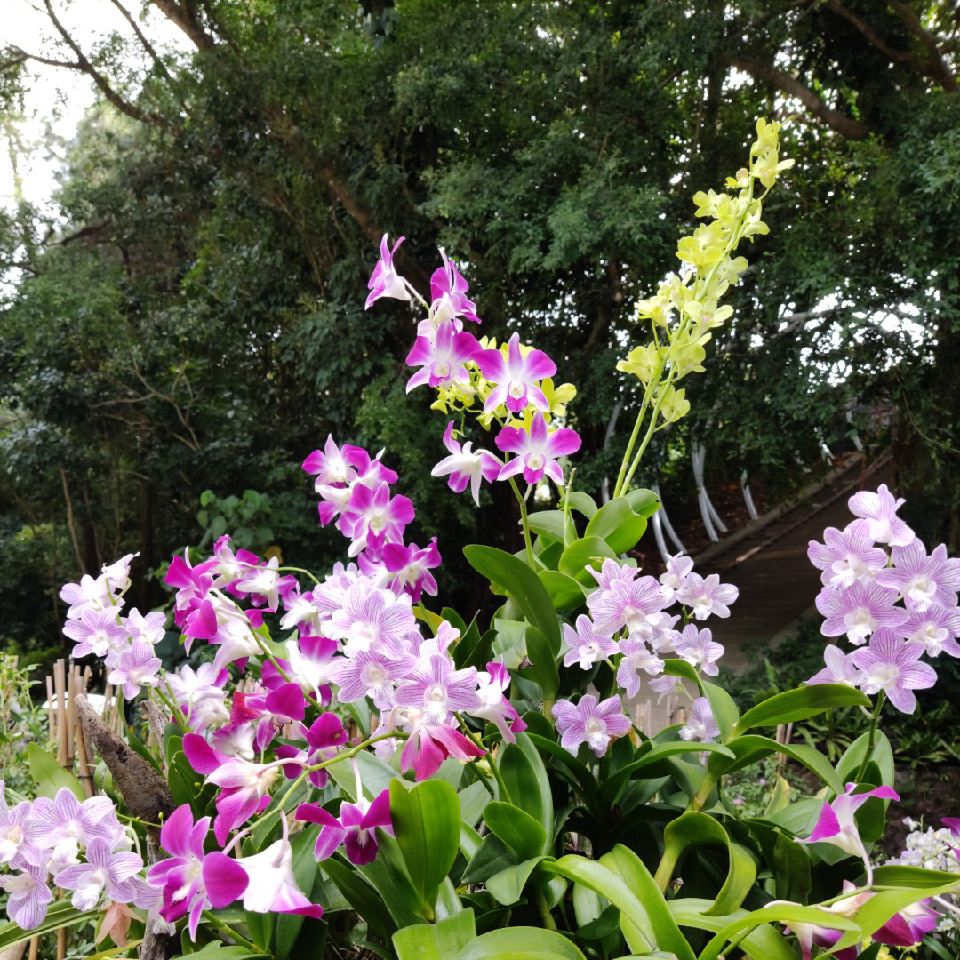 💖春風化雨💖海报
