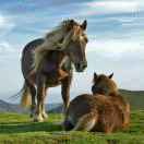 诚信电器罗晓亮157