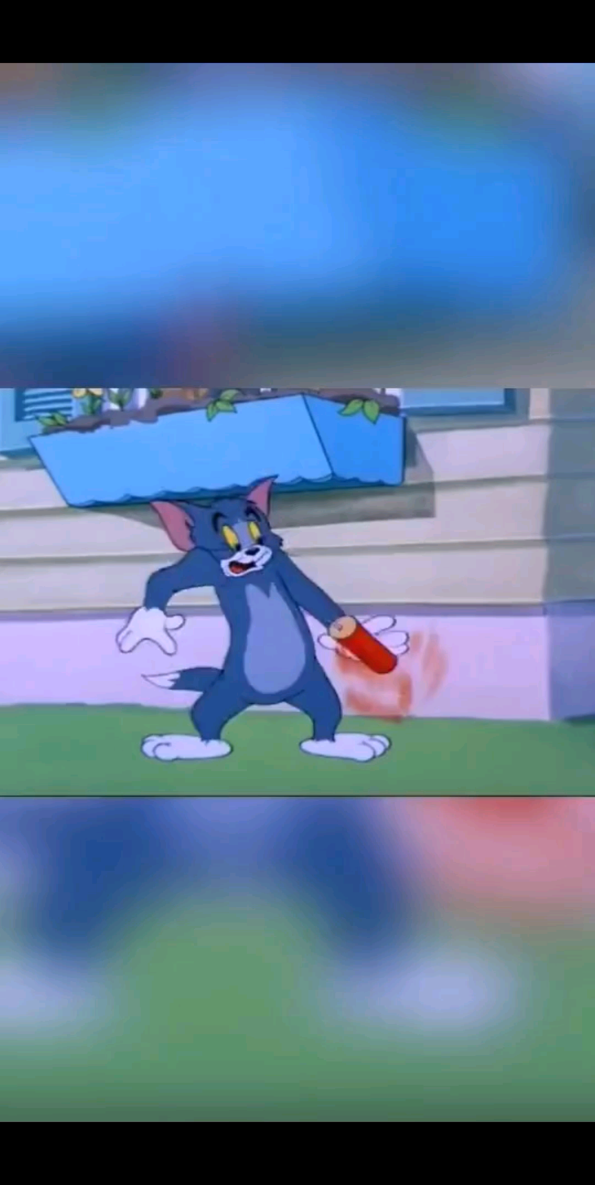 真诚的心交，真诚的爱