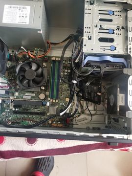 天王盖地虎虎044的图片