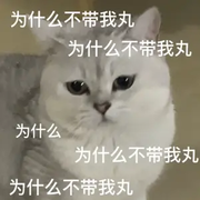 小宠😱的头像
