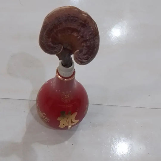 白孑画r海报