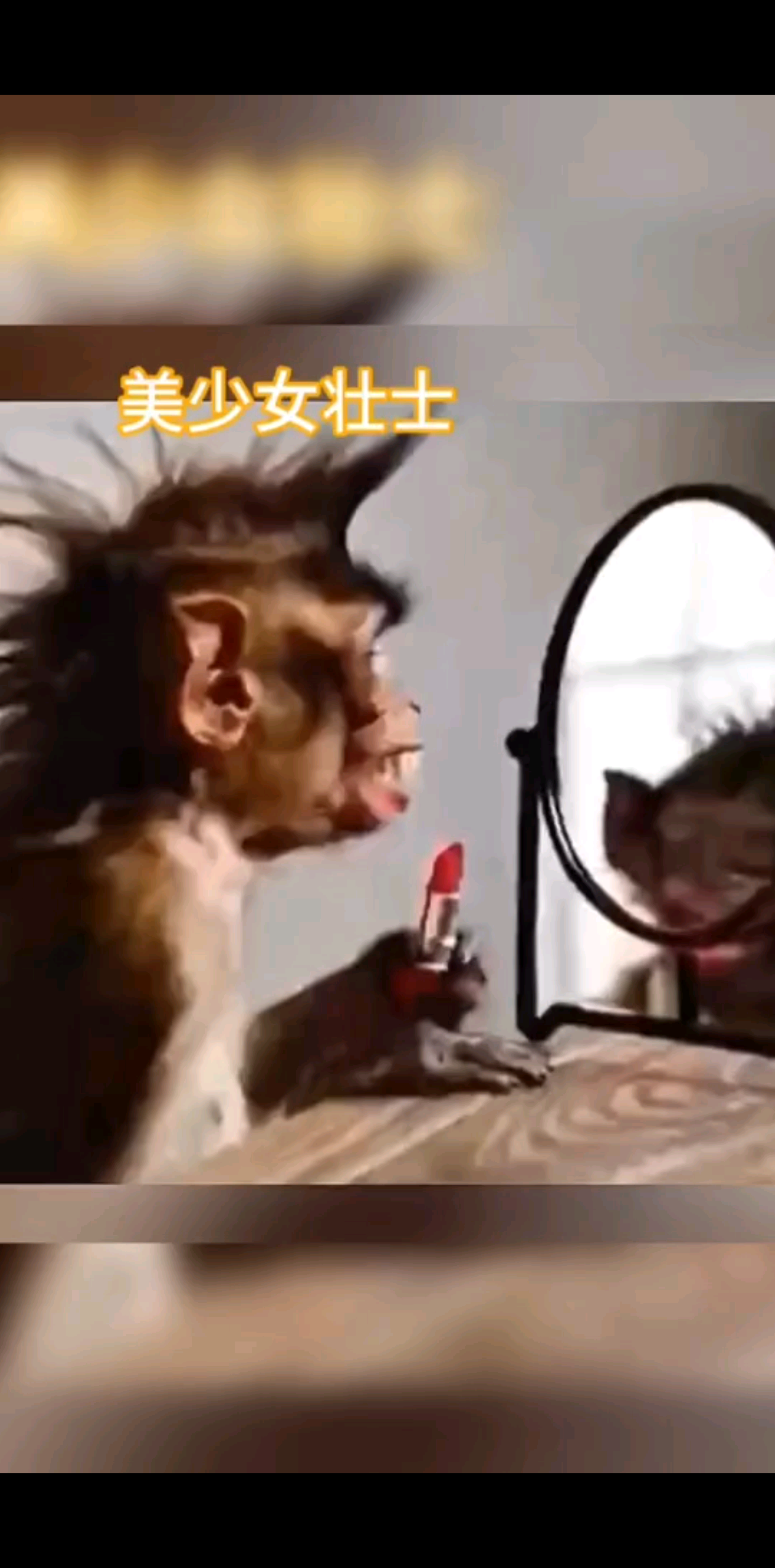 哈哈哈哈哈哈哈哈
