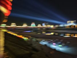 洛兜兜野蛮生长的图片