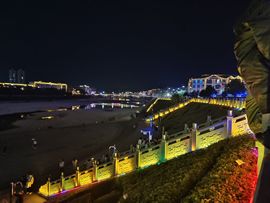 洛兜兜野蛮生长的图片