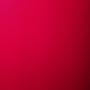 大望桥下观光辉