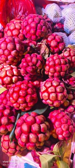 妞妞骑行南宁的图片