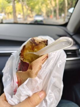 桃子🍑游园中的图片