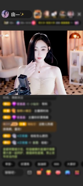 感谢🌺醉卧红尘🍂赠送天空游乐园1个