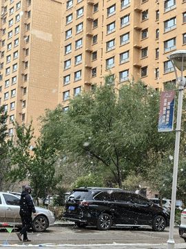 99。唱歌滴的图片