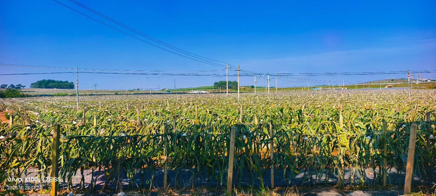 妞妞骑行南宁的主播照片