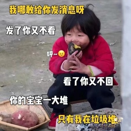 宠儿贺我二娃帝圣的图片