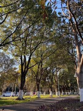 北家玉米🌽的图片