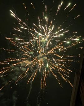 “宝中梦521”的图片