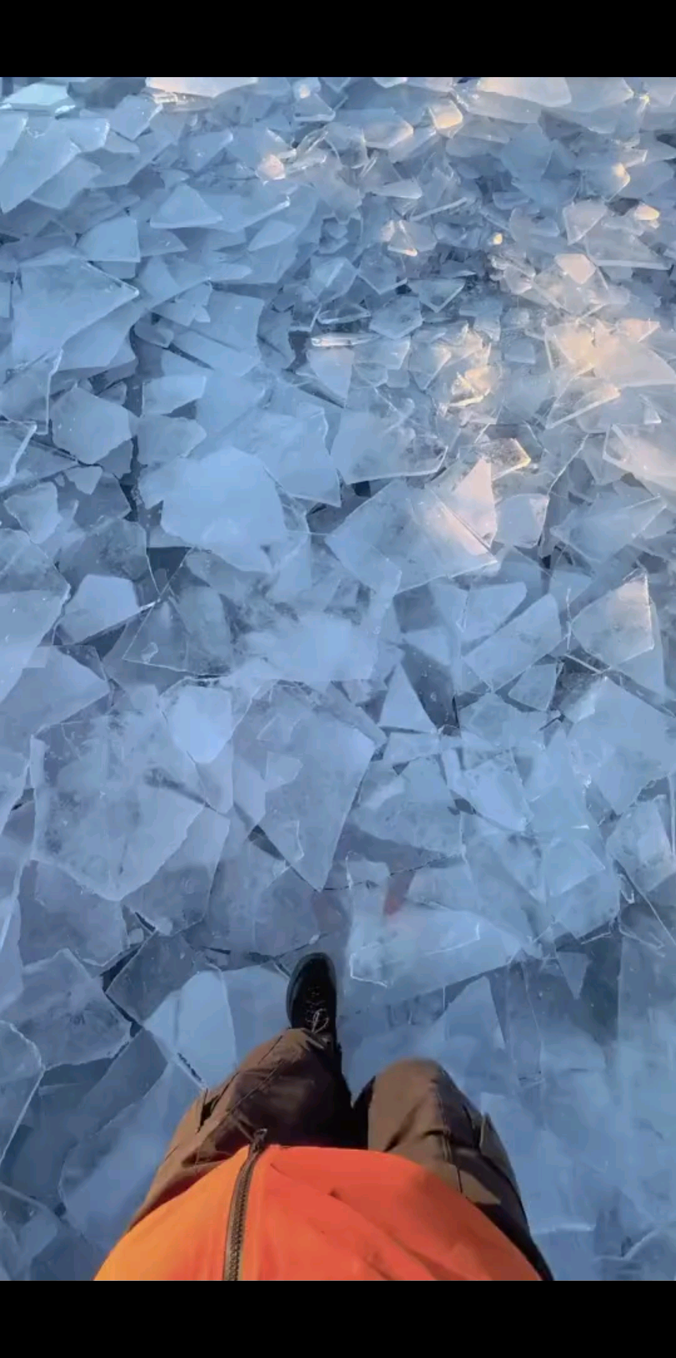 秋高气爽，东篱菊黄，